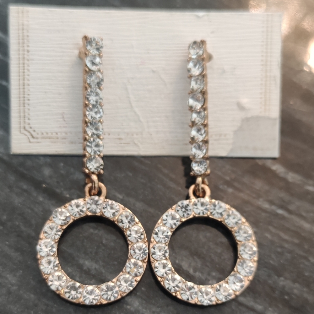 Circle Drop Earrings